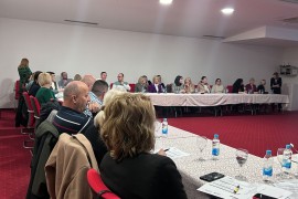 Alarmantno: Gotovo svaki dan jedna žena zatraži pomoć