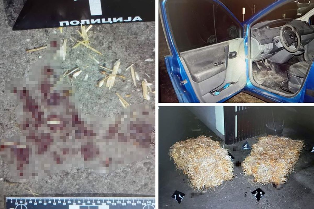 Predao se osumnjičeni za ubistvo u Inđiji