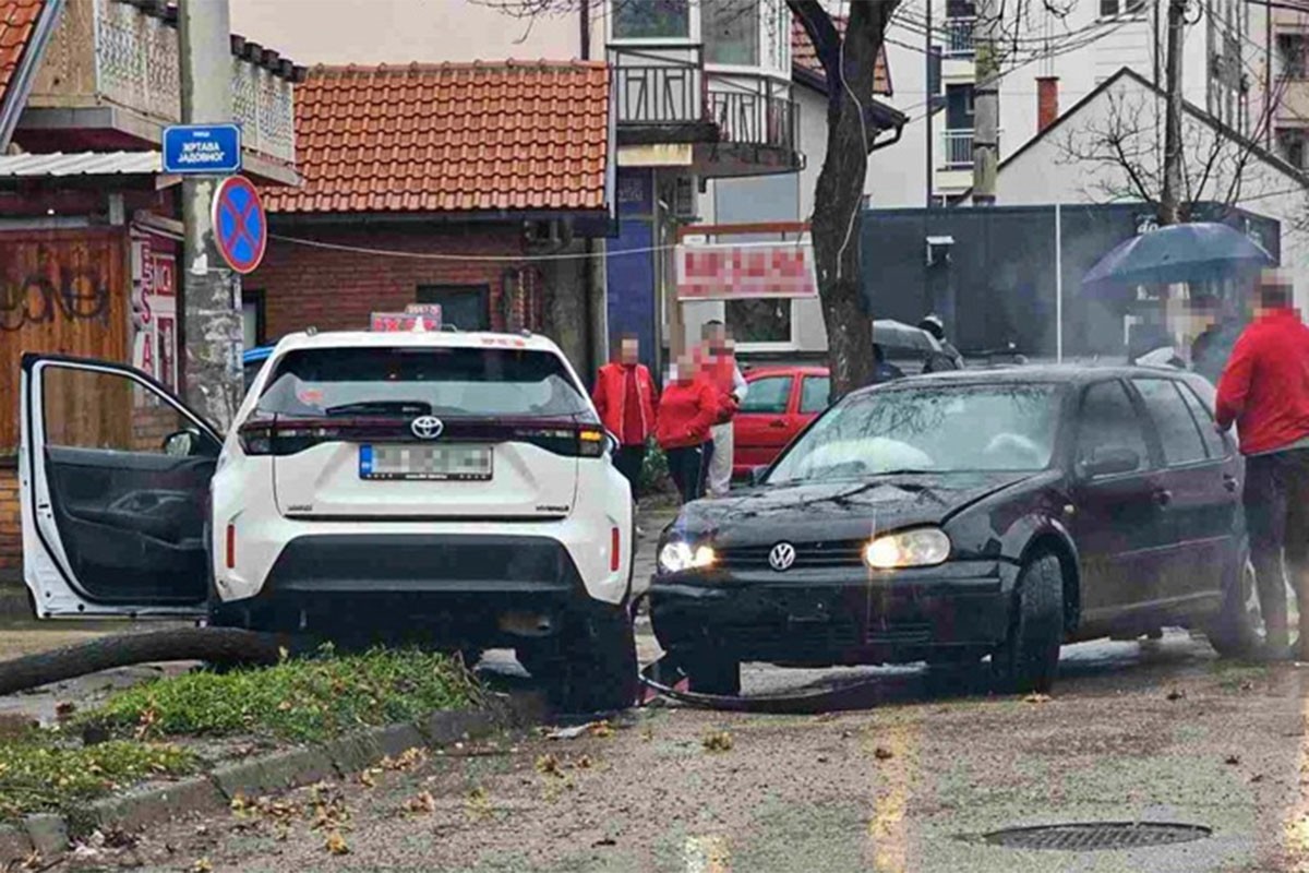 Sudarila se dva auta, oboreno drvo