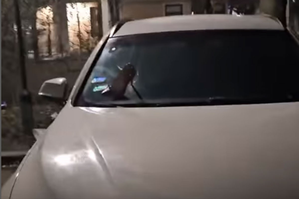 Burna noć u Beogradu: Crvena štikla zabodena u šajbu bijelog BMW-a (VIDEO)