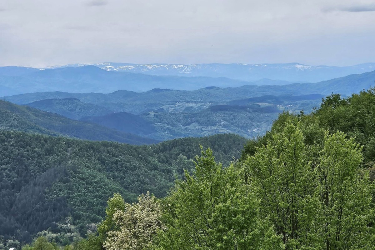 Predaja peticije za zaštitu Majevice