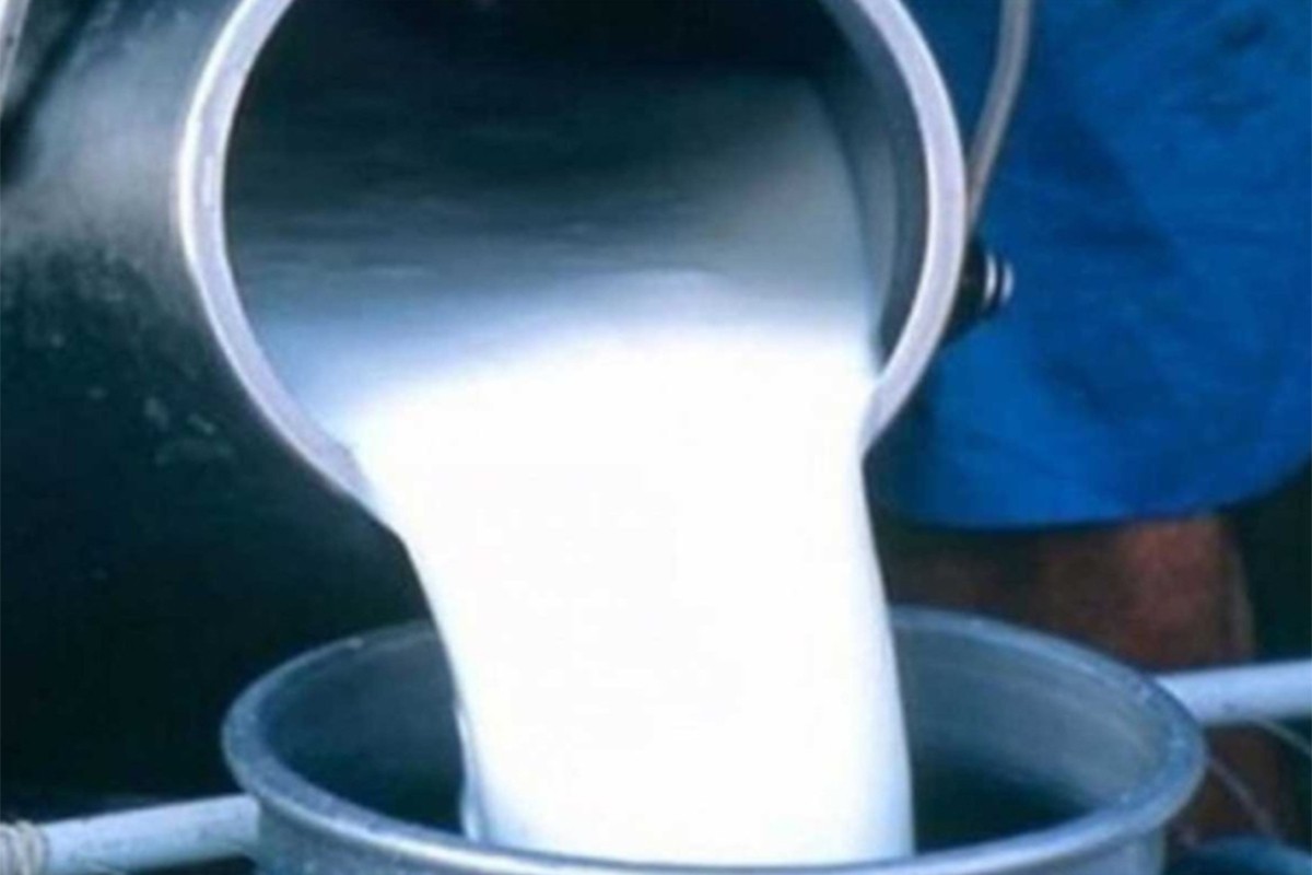 Za premiju za mlijeko 2,8 milion KM