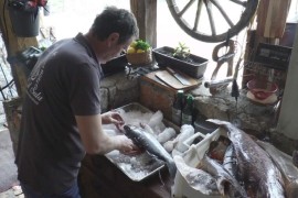 Bivši mornar usred Srbije napravio pravi morski raj
