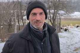 Neđo sa Manjače stigao do Prnjavora: Vodi stado u toplije krajeve ...