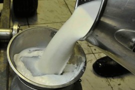 BiH odobren nastavak izvoza mlijeka i mliječnih proizvoda u EU