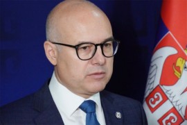 Vučević: Očekujem da zvanična istraga utvrdi šta je bilo sa ...