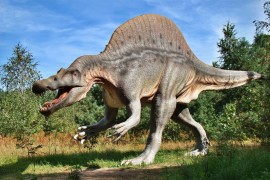 Banjaluka naručuje dinosauruse u prirodnoj veličini