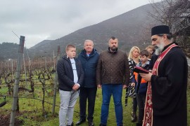 Rezidba u Podrumima "Vukoje": Sveti Trifun nagovještava dobru godinu