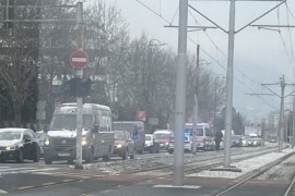Policija i vatrogasci skidaju migranta s drveta u Sarajevu