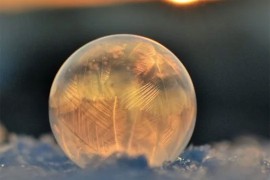 Osjetljive poljoprivedne kulture zaštititi od niske temperature