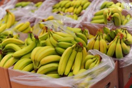 Otrovna zmija pronađena među bananama u marketu (FOTO)