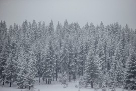 Debeli minusi u BiH: Izmjereno -17 (FOTO)