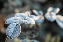 Hladno jutro širom BiH: U jednom mjestu u Srpskoj izmjereno minus 15 ...