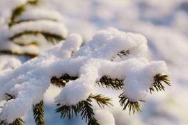 Poznati meteorolog tvrdi: S ovom sedmicom završava najhladniji dio zime