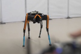 Kinezi napravili najbržeg robo-psa na svijetu: Trči brže od Bolta ...