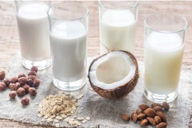 Koja vrsta mlijeka ima najviše proteina?