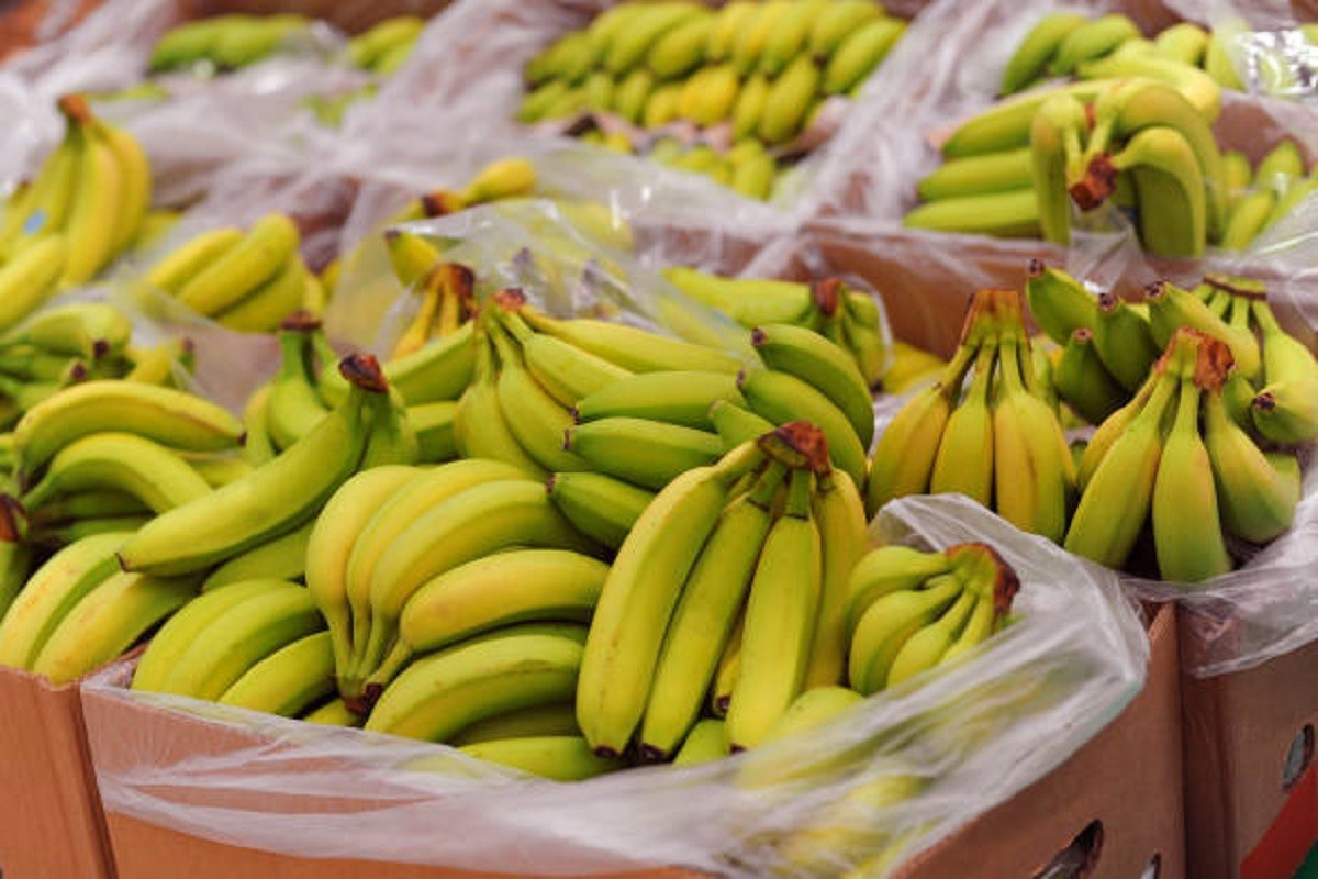 Otrovna zmija pronađena među bananama u marketu (FOTO)