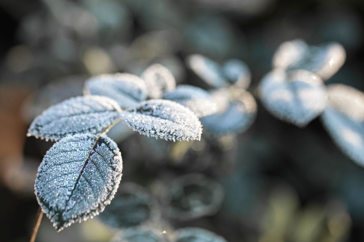 Hladno jutro širom BiH: U jednom mjestu u Srpskoj izmjereno minus 15 stepeni