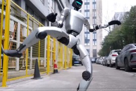 Kineski humanoid sad zna kung-fu (VIDEO)