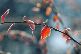 Danas pretežno sunačano vrijeme, na jugu vjetrovito