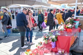 Banjaluka se priprema za proslavu Dana žena (FOTO)