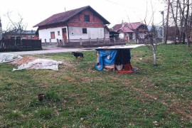 Pas ugrizao djevojčicu u Banjaluci, mještani ogorčeni zbog ilegalnog ...
