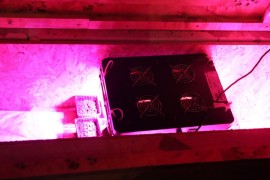 Policija pronašla improvizovanu laboratoriju za proizvodnju droge