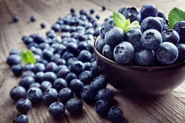 Sve intenzivnija proizvodnja borovnice u sjeverozapadnom dijelu Srpske
