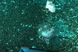 Kinezi razvijaju robote koji mogu doći do dubine od 10.000 metara u ...