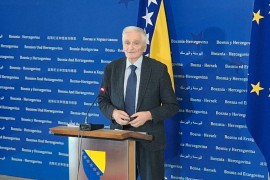 Špirić: Nećemo dozvoliti političku eutanaziju u Domu naroda