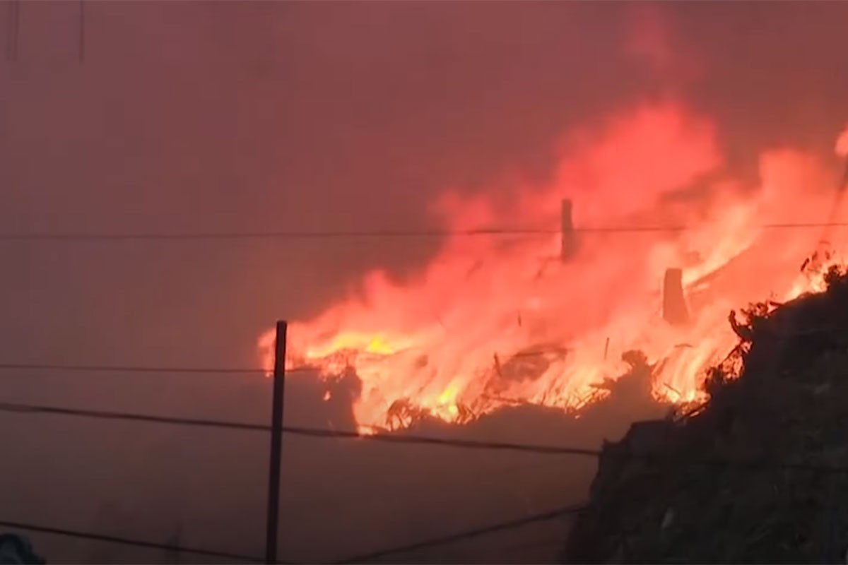 Vatrena stihija u Japanu, širi se šumski požar (VIDEO)
