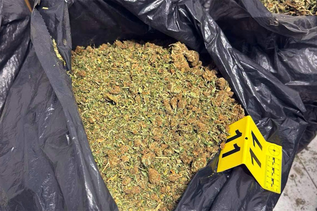 Zaplijenjeno stotine kilograma droge u Srbiji (FOTO)
