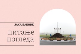 Izložba "Pitanje pogleda" Jake Babnika u MSU RS