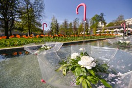 Festival cvijeća od 11. do 13. aprila u Parku knjige u Banjaluci