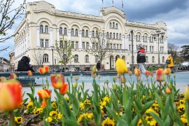 Banjalučki tulipani u punom cvatu krase grad (VIDEO)