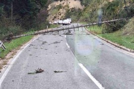 Srušilo se nekoliko stabala na putu Banjaluka-Čađavica