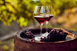 Plastika, teflon i pesticidi se probili i u vina