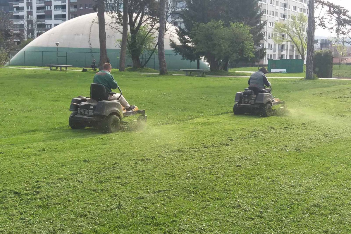 Nastavljeno košenje u Banjaluci, počelo popunjavanje drvoreda