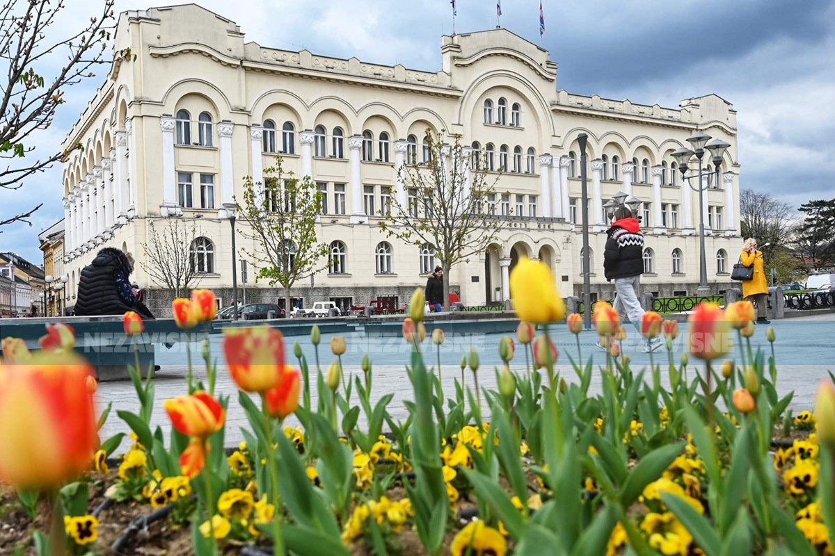 Banjalučki tulipani u punom cvatu krase grad (VIDEO)