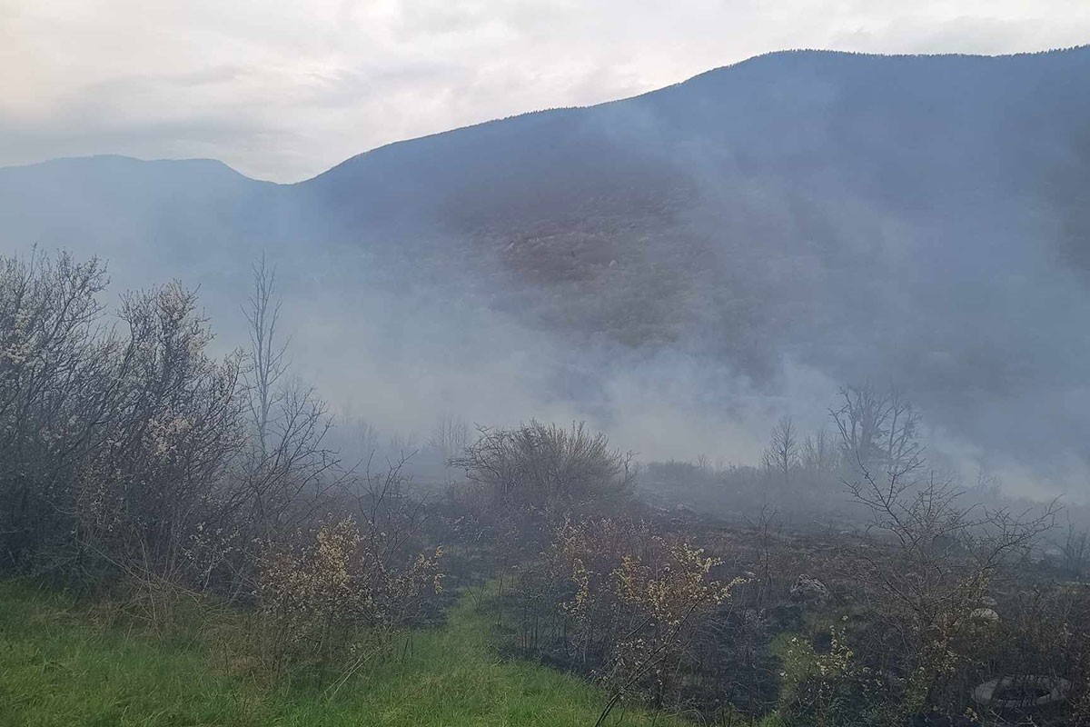 Šumski požari bjesne uprkos povećanim kaznama (VIDEO)