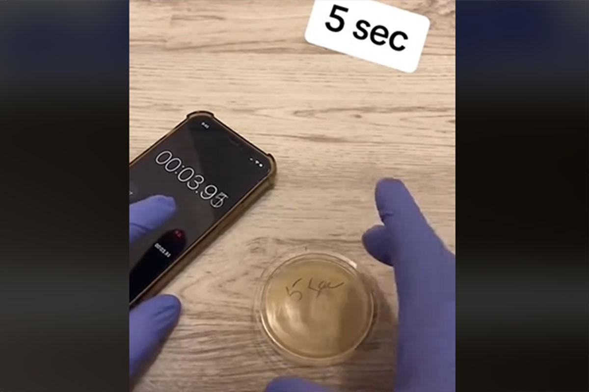 Hrana s poda: Neće vam se dopasti istina o "pravilu pet sekundi" (VIDEO)