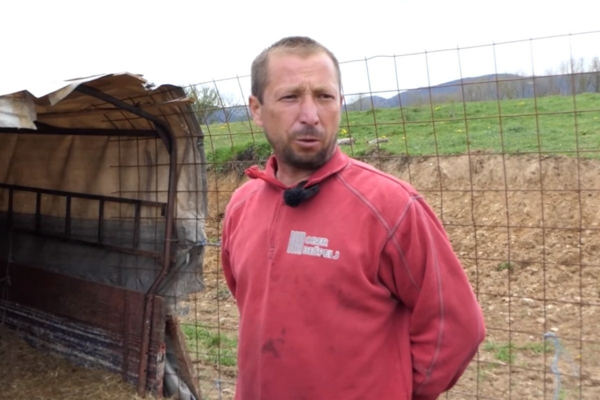 Užas u selu u BiH: Medvjed napravio pokolj u toru, mještani u strahu (VIDEO)