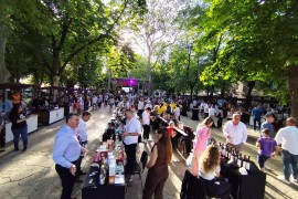 Festival vina u Trebinju okupio 48 izlagača