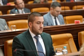 Drinić:  PDP neće podržati EUFOR-ovu agoniju hapšenja zvaničnika ...