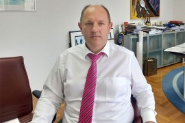 Petrović: Inicijativu "Alumine" razmotriti, ali samo ako bude povoljna