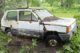 Napuštena Panda nađena u šumi: Pali poslije 17 godina (VIDEO)