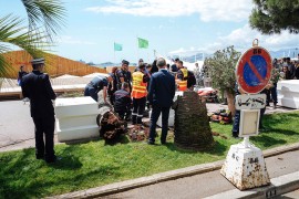 Incident na Filmskom festivalu u Kanu: Drvo palo na posjetioca