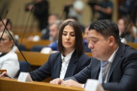 Vukomanović poziva na hitno usvajanje zakona o besplatnim placevima za ...