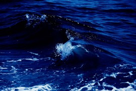 Svjetski okeani potamnili: "Ozbiljan razlog za zabrinutost"