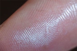 Britanskim državljanima provjeravaju otiske prstiju prilikom ulaska u ...